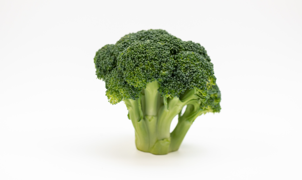 A crown of fresh broccoli