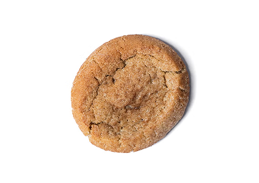 Snickerdoodle Cookie